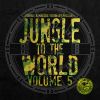 Download track Worldwide (JNGL Mix)