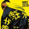 Download track Disizilla