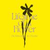 Download track Lifetime Of A Flower Pt. 2