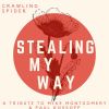 Download track Stealing My Way