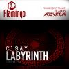 Download track Labyrinth (Original Mix)