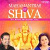 Download track Mahamrityunjay Mantra - 108 Chants