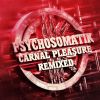 Download track Carnal Pleasure (ULTIMATE SOLDIER Remix)