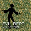 Download track Melodofunk (Extended Mix)