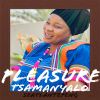 Download track Mengwaga Ye Lesome