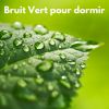 Download track Bruit Vert Apaisant (Bouclable)