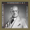 Download track Symphony No. 1 In E Minor, Op. 39 III. Scherzo. Allegro