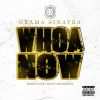 Download track Whoa Now