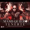 Download track Mami Quiero Tenerte