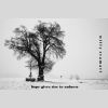 Download track Hope Gives Rise To Sadness V