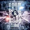 Download track Bloodbrain (VIP)