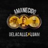 Download track Amanecido