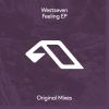 Download track Feeling (Extended Mix)