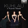 Download track Trio In D Major, Op. 13 No. 1: III. Rondo Allegro