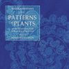 Download track Patterns Of Plants, 20th Collection Begonia In My Life Pattern D (2009 Version)