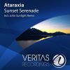 Download track Sunset Serenade (Original Mix)