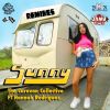 Download track Sunny [B Side] (Mr Fitz Remix)