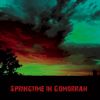 Download track Springtime In Gomorrah