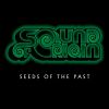 Download track Seeds Of The Past