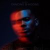 Download track Dancing Shadows