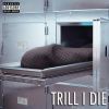 Download track Trill I Die