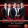 Download track El Son De Los Levas