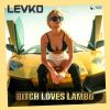 Download track Bitch Loves Lambo (Radio Edit)