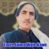 Download track Toore Jaima Wale Kawe