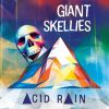 Download track Acid Rain