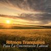 Download track Ritmos Para El Enfoque