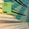 Download track Changes (Appleblim's Bristol Soul Mix)