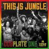 Download track Kunta Kinte (94 Dub Plate)