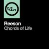 Download track Chords Of Life (Original Mix)