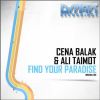 Download track Find Your Paradise (Original Mix)