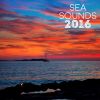 Download track Sea Shore Ambience