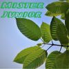 Download track Mister Junior