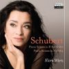 Download track Piano Sonata In B-Flat Major, D. 960: III. Scherzo, Allegro Vivace Con Delictezza