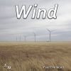 Download track Heavy Wind