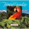 Download track Jungle Birdsong