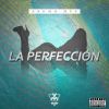 Download track La Perfeccion