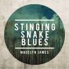 Download track Stinging Snake Blues