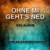 Download track Des Oide Und Des Neiche