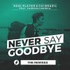 Download track Never Say Goodbye (Bianchin Remix)