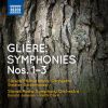 Download track Symphony No. 2 In C Minor, Op. 25 - II. Allegro Giocoso