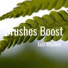 Download track Brushes Boost