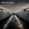 Download track Raindrops (Raffa Prado Remix)