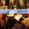 Download track Brandenburg Concerto No. 3 In G BWV1048: II. Adagio - III. Allegro