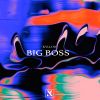 Download track Big Boss (Extended Mix)