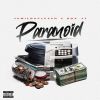 Download track Paranoid