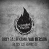 Download track Black Cat (DOWDZWELL Remix)